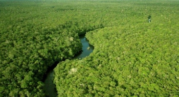 Reserva no Amazonas zera desmatamento e é considerada modelo no país e no mundo